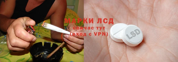 хмурый Алзамай