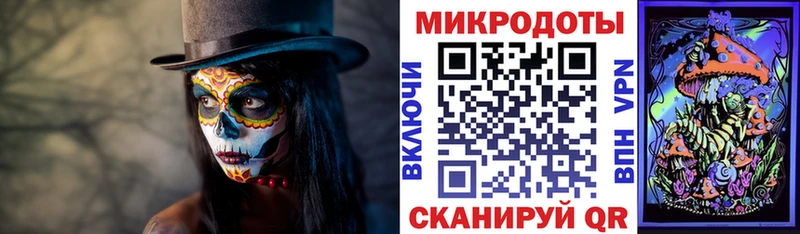 Галлюциногенные грибы Psilocybine cubensis  hydra ссылки  Удачный 